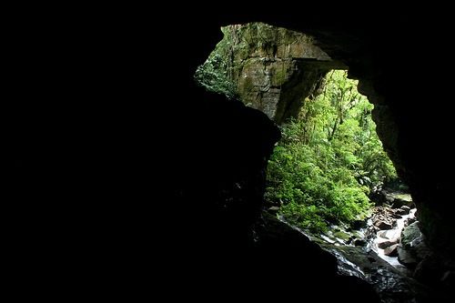 Cueva de los Guácharos